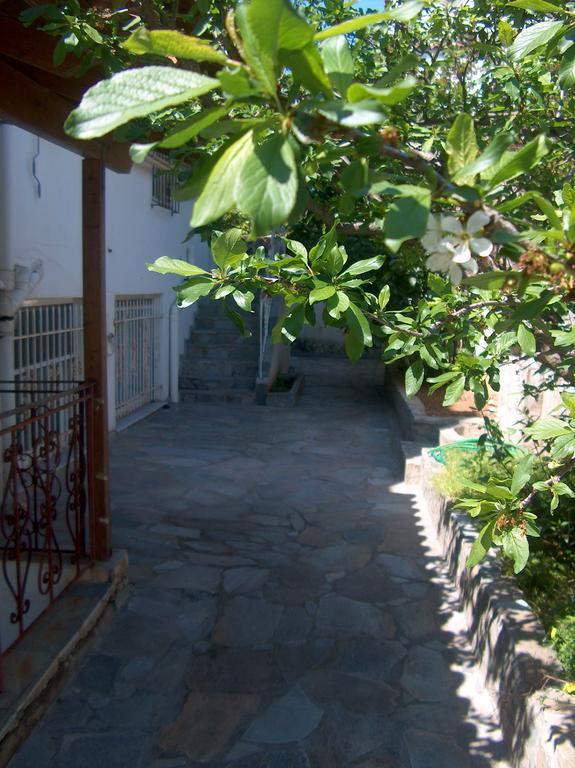 Athenian Spiti Villa Artemida  Rum bild